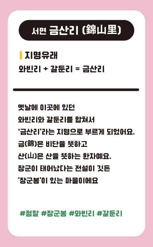 금산리